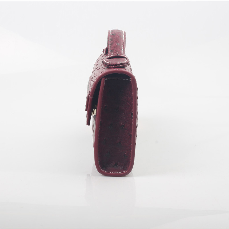 Dubai Nieuwe Dames Handtassen  - Women Bags In Dubai recensie en prijs